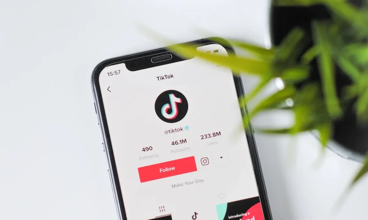 Exploring TikTok Marketing for Brands